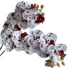 Haste De Flor Orquídea Artificial Branca E Vinho 7 Unidades C