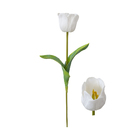 Haste De Tulipa Toque Real Branco - Alt 50 Cm