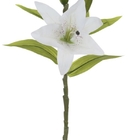 Haste Flor Lirio Real Toque X4 Branco 37cm