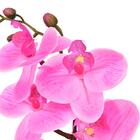 Haste Flor Orquidea Phalaenopsis Real Toque C/coat X7 73cm