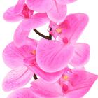 Haste Flor Orquidea Phalaenopsis Real Toque C/coat X7 73cm