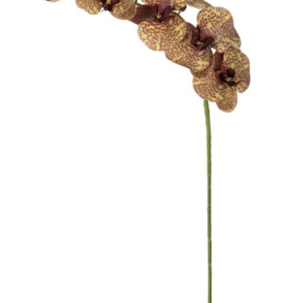 Haste Flor Orquidea Phalaenopsis Real Toque X9 Amarelo Beauty