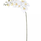 Haste Flor Orquidea Phalaenopsis Real Toque X9 Branco Beauty