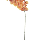 Haste Flor Orquidea Phalaenopsis Real Toque X9 Laranja 94cm (