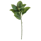 Haste moldável Magnólia com 11 folhas em cetim, medindo 18cm, verde.