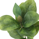 Haste moldável Magnólia com 11 folhas em cetim, medindo 18cm, verde.