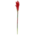 Haste Ginger 82cm Vermelho