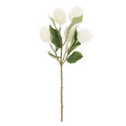 Haste Plastica com 5 Complementos de 6cm e 10 folhas.