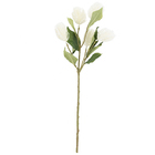 Haste Plastica com 5 Complementos de 6cm e 10 folhas.