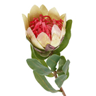 Haste  moldável com toque artesanal, Protea com 8,5 cm e folhas em pvc acetinado, creme e rosa.