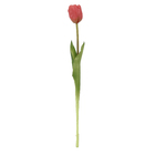 Haste Tulipa Real Toque 44cm Vermelho Claro