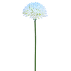 Hastes Crisantemo Médio Azul Claro Grillo