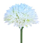 Hastes Crisantemo Médio Azul Claro Grillo