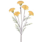 Hastes Crisantemo Médio Amarelo Grillo