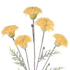 Hastes Crisantemo Médio Amarelo Grillo