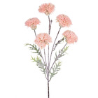 Hastes Crisantemo Médio Rosa Grillo