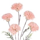 Hastes Crisantemo Médio Rosa Grillo