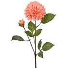 Hastes Dalia Médio Rosa Grillo