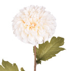 Hastes Dalia Médio Bege Grillo