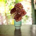 Hastes De Cravos Artificiais 9 Flores Realistas Para Montar B