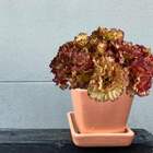 Hastes De Flor Permanente 5 Hastes De Cravos Realistas Decora