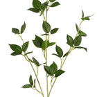 Hastes de folha Cerejeira Médio Verde Grillo