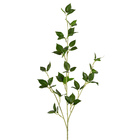 Hastes de folha Cerejeira Médio Verde Grillo