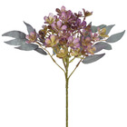 Hastes Flor Pequeno Lavanda Grillo