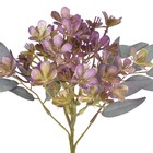 Hastes Flor Pequeno Lavanda Grillo