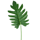 Hastes Folha Filodendro Grande Verde Grillo