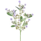 Hastes Folhas de Pompom Médio Lavanda Grillo
