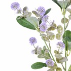 Hastes Folhas de Pompom Médio Lavanda Grillo