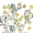 Hastes Folhas de Pompom Médio Amarelo Grillo