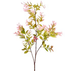 Hastes Folhas Médio Roxo Grillo