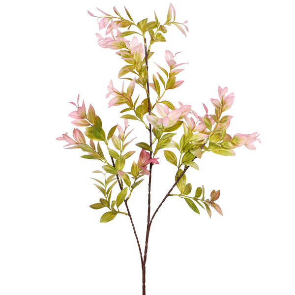 Hastes Folhas Médio Roxo Grillo