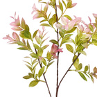 Hastes Folhas Médio Roxo Grillo