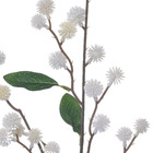 Hastes Mamona Grande Branco Grillo