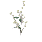 Hastes Mamona Grande Branco Grillo