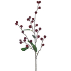 Hastes Mamona Grande Vermelho Grillo