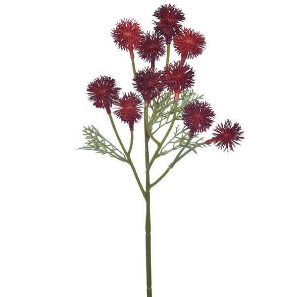 Hastes Mamona Pequeno Vermelho Grillo