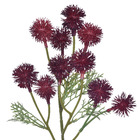 Hastes Mamona Pequeno Vermelho Grillo