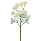 Hastes Mamona Pequeno Bege Grillo