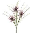 Hastes Ouriço Médio Marrom Grillo