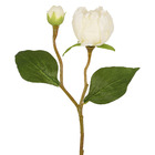 Hastes Peonia Pequeno Bege Grillo