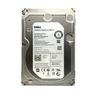 Hd  6tb Sata 3 128mb 7200rpm 3 5 Dell Enterprise Capacity St6