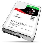 Hd Interno Seagate Nas Ironwolf 1tb Sata 64mb 3.5 5900rpm (st