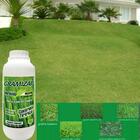 Herbicida Para Gramados Gramizap Mata Tiriricas E Ervas Danin