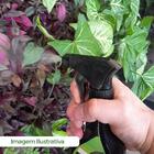 Herbicida Proteção Mato Concentrado Forth Jardim 500ml