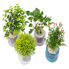 HIDROCULTURA VARIADO P13 PLANTA ORNAMENTAL