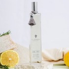 Home Spray 100ml Lux - Canela Com Patchouli